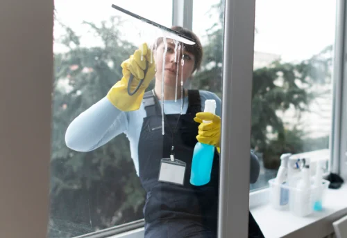 Nettoyage de vitres intérieures et extérieures à Montaiguët-en-Forez